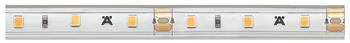LED strip light with silicone sleeve, Häfele Loox5 LED 2063 12 V 8 mm 2-pin (monochrome), 60 LEDs/m, 4.8 W/m, IP44